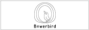 bowerbird